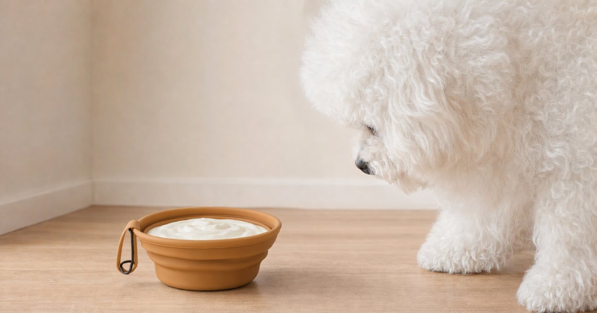 A Veterinarian-Backed Intro to Canine Probiotics