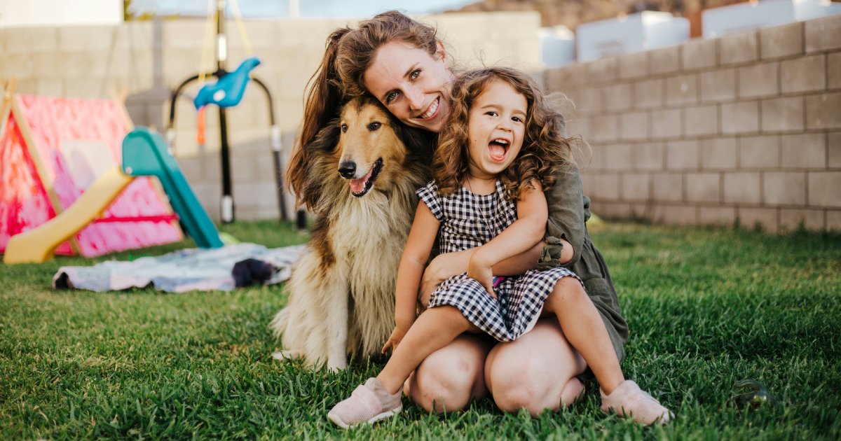 Prebiotics 101: A Starter Guide for Pet Parents