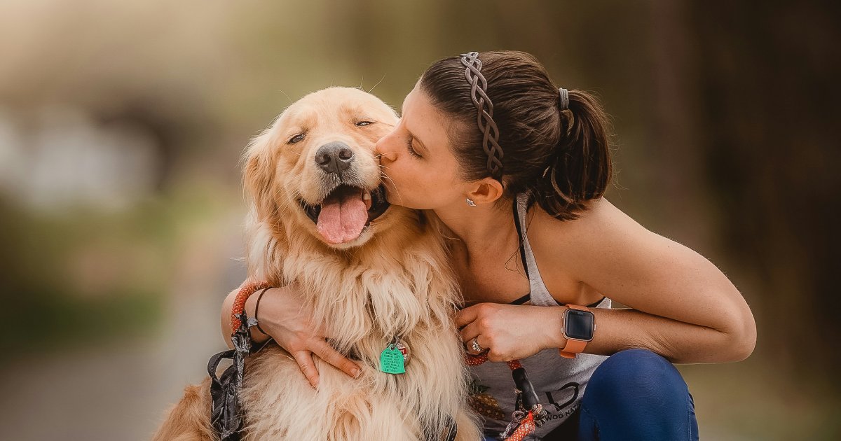 What Are the Benefits of Probiotics for Your Dog?