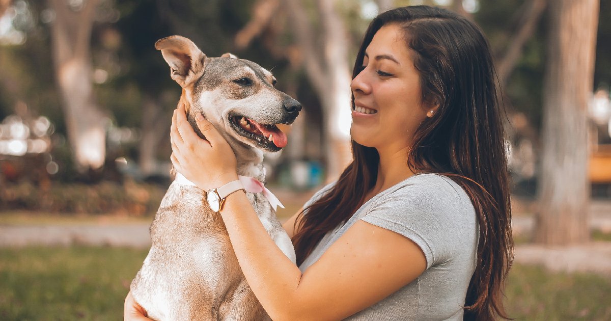 Moving, Car Rides, and Boarding: Can Probiotics Prevent Stress Diarrhea?