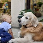 Can Probiotics Cause Side Effects in Dogs?