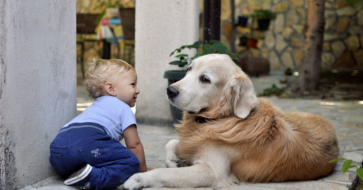 Can Probiotics Cause Side Effects in Dogs?