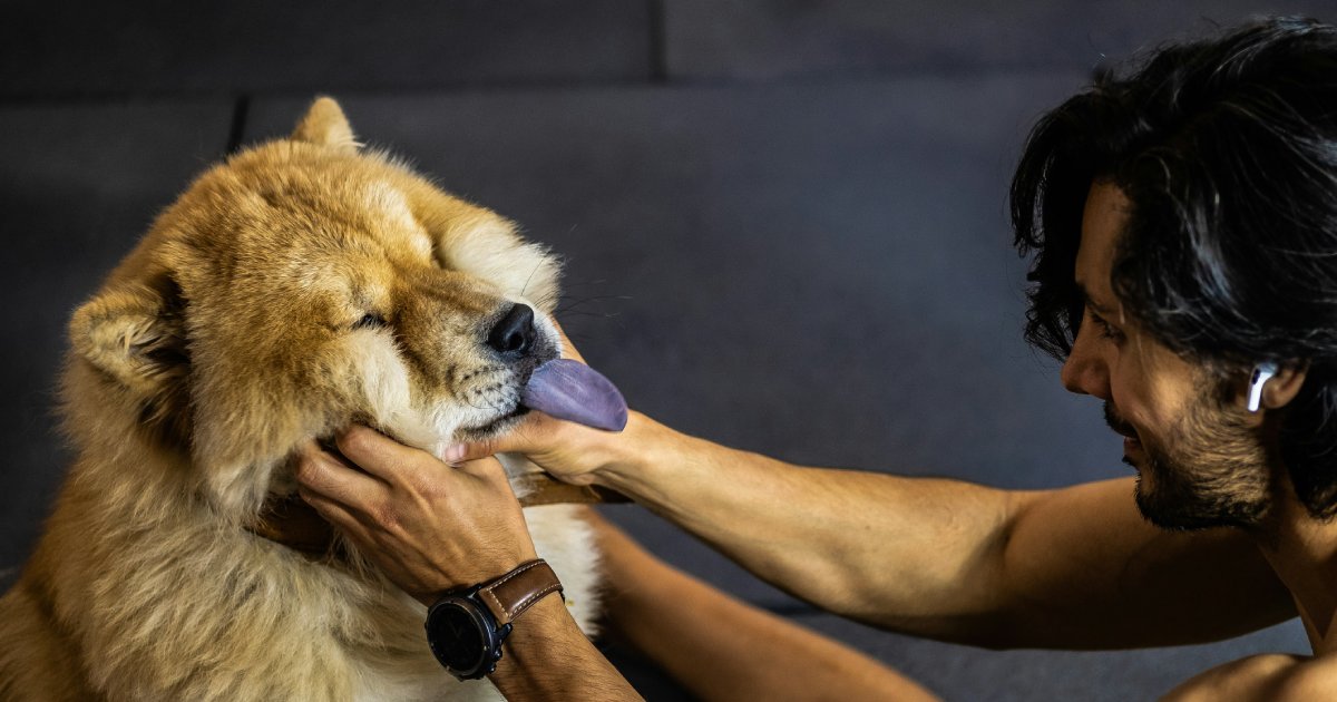 How to Restore Gut Health After Surgery: Probiotics in Canine Recovery